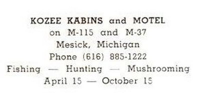 Kozee Cabins and Motel (Snow Shoe Cabins) - Vintage Postcard (newer photo)